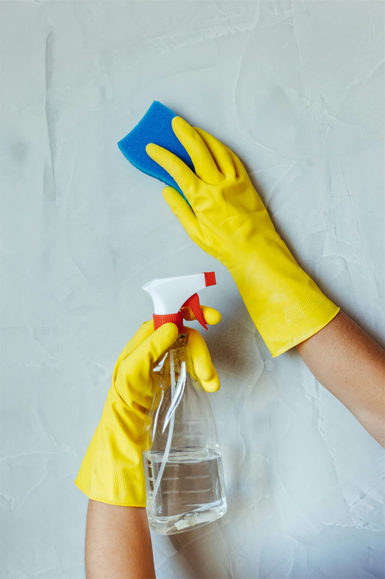Bright yellow gloves, a blue sponge, and a spray bottle at work